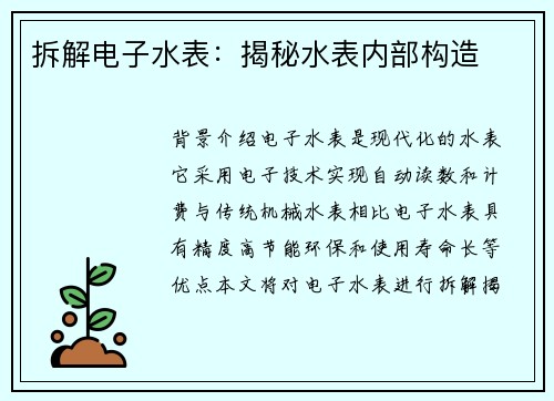 拆解电子水表：揭秘水表内部构造